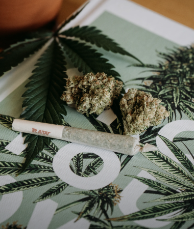 HOW TO INTEGRATE CANNABIS INTO YOUR LIFESTYLE