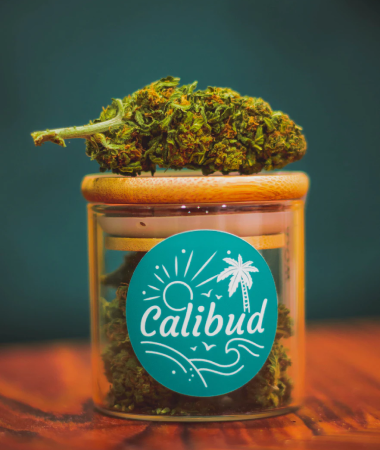 DON’T WANT THAT THC?