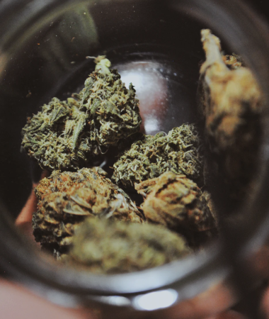 THE BEST NON-CANNABIS PLANTS TO PRACTICE