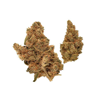 Purple Punch Dried Flower