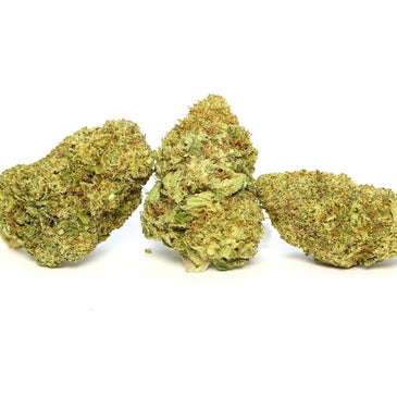 Sensi Star Dried Cannabis Flower