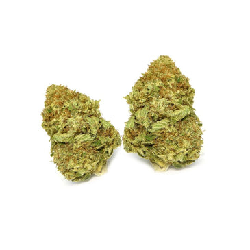 Sensi Star Dried Cannabis Flower