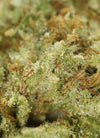 Sensi Star Dried Cannabis Flower